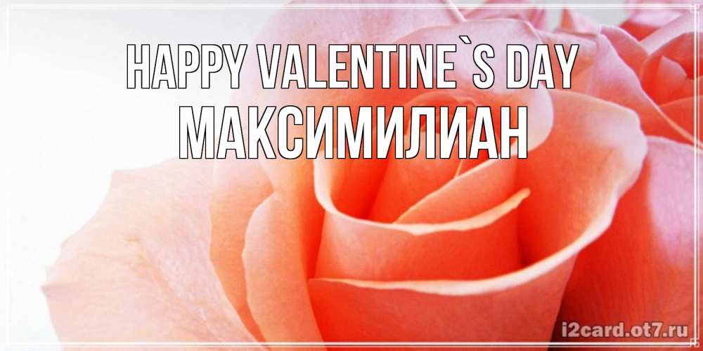 Greetings card с именем, Максимилиан Happy Valentine`s Day открытка на день Святого Валентина с розовой розой Greetings with text for free download 